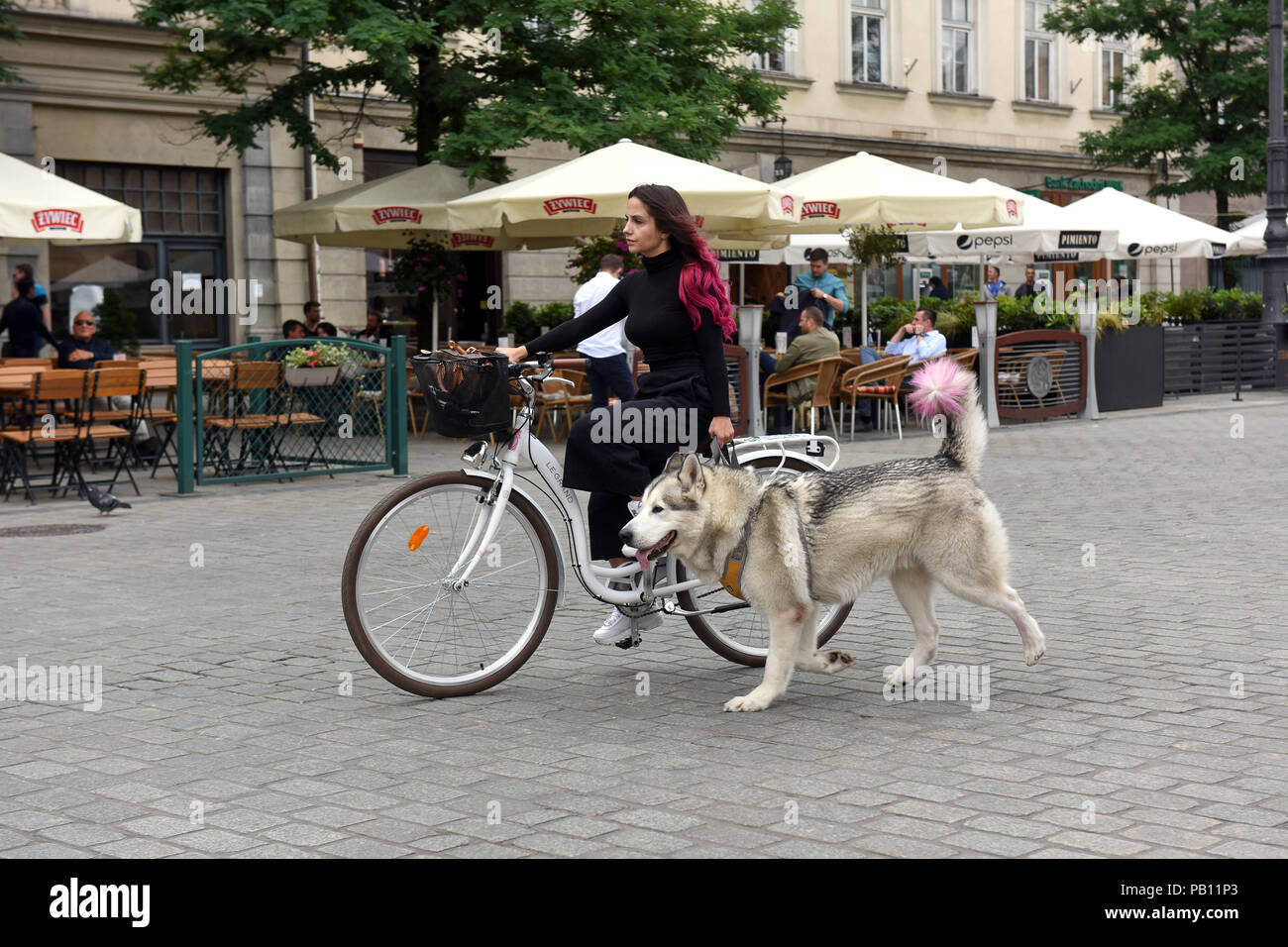 Donna femmina bicicletta equitazione e passeggiate cane in Cracovia Polonia Foto Stock