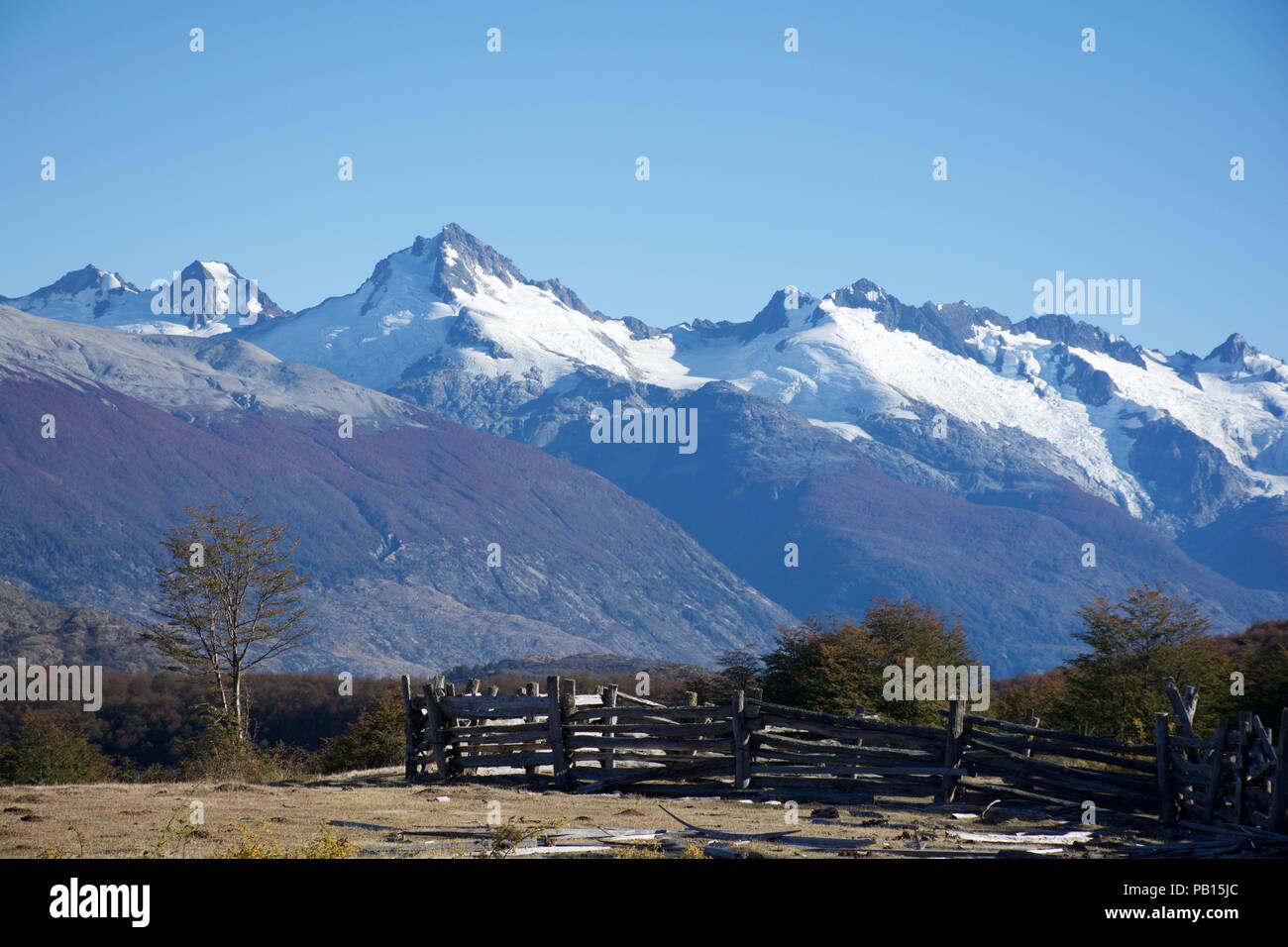 Lindero Magallanes, Carretera Austral, Patagonia, Cile Foto Stock