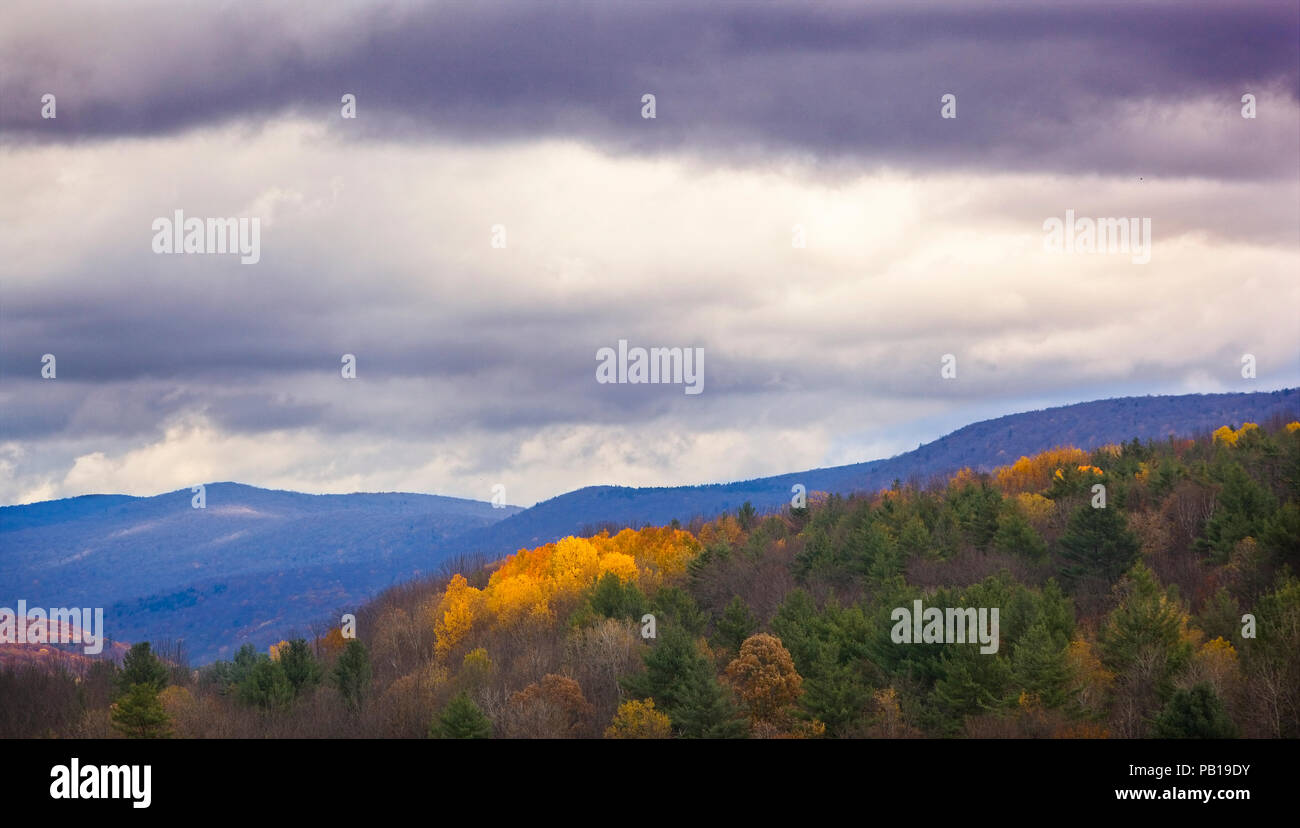 Nuvole temporalesche e incandescente alberi di acero di montagna verde foresta nazionale nel mese di ottobre Foto Stock