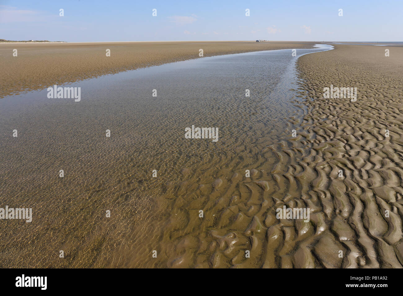 Il molto ampia spiaggia di sabbia con la bassa marea su Fanø, Danimarca Foto Stock