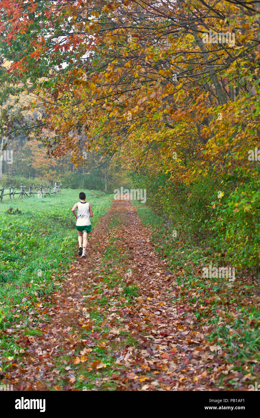 Una donna fare jogging nel Berkshires in Western ma Foto Stock
