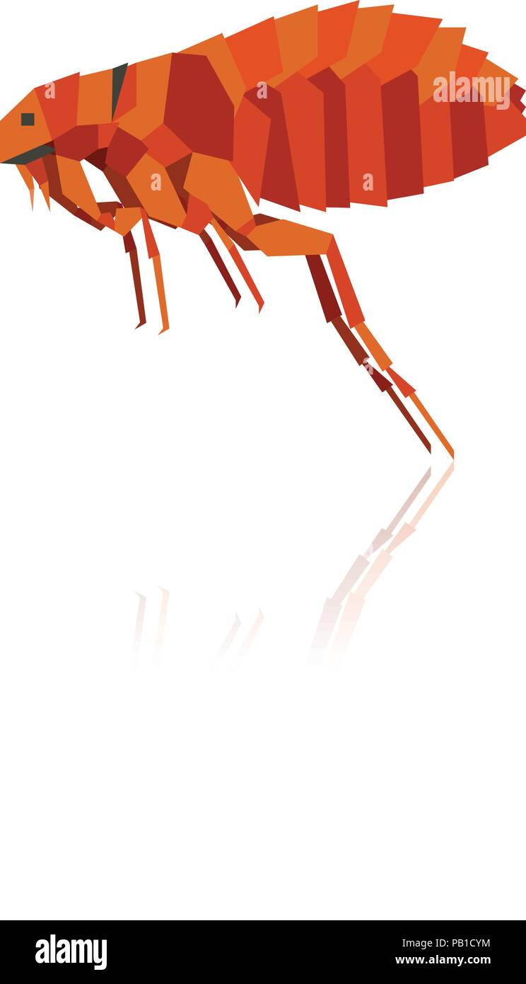 Piatto di pulci geometrica Illustrazione Vettoriale