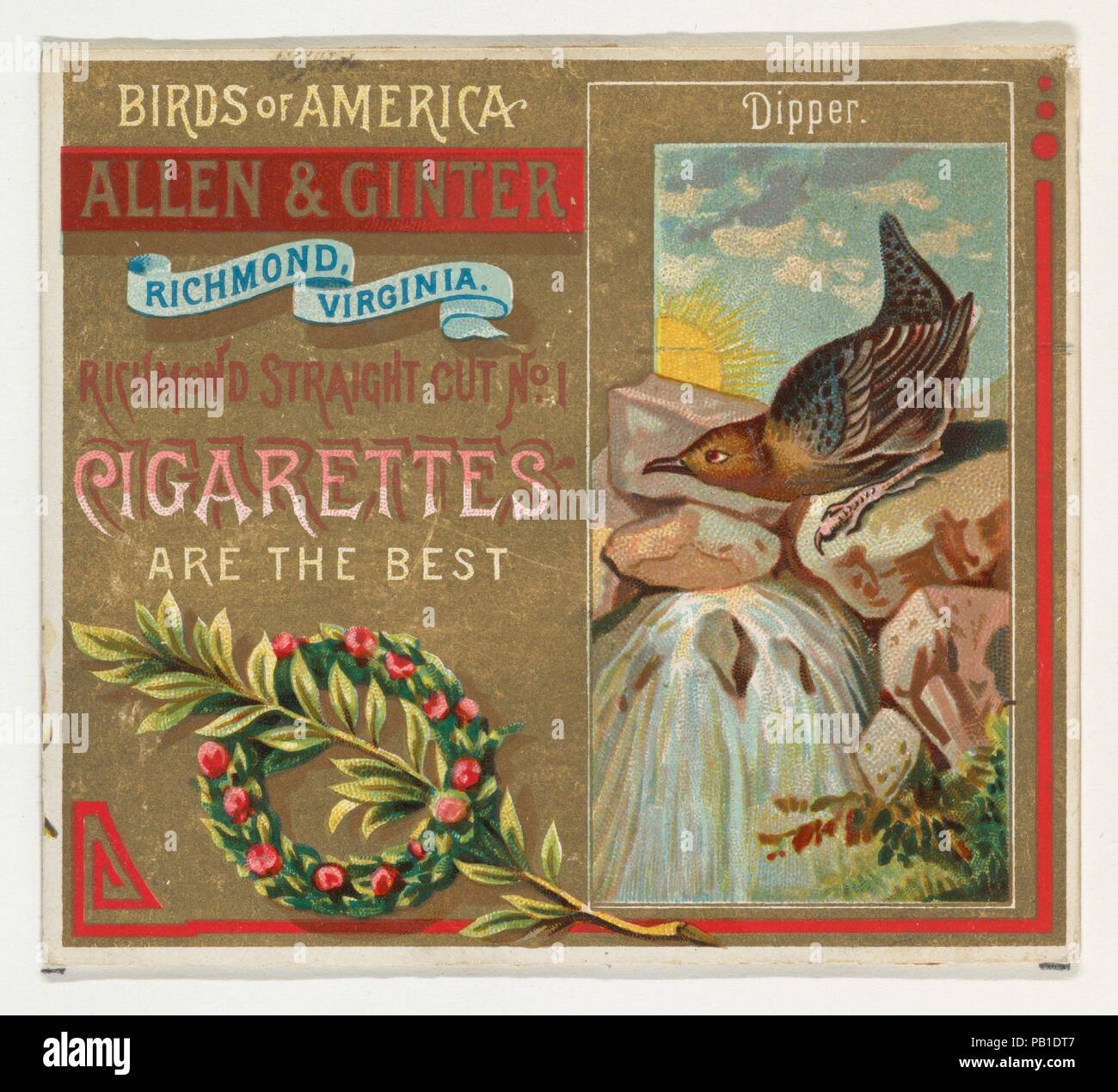 Il bilanciere, da uccelli d'America serie (N37) per Allen & Ginter sigarette. Dimensioni: foglio: 2 7/8 x 3 1/4 in. (7,3 x 8,3 cm). Editore: Rilasciato da Allen & Ginter (American, Richmond, Virginia). Data: 1888. Scambio di carte dal 'Uccelli d'America' serie (N37), rilasciato nel 1888 in un set di 50 schede per promuovere Allen & Ginter marca di sigarette. La serie N37 riproduce le carte dalla N4 in una dimensione più grande. Museo: Metropolitan Museum of Art di New York, Stati Uniti d'America. Foto Stock