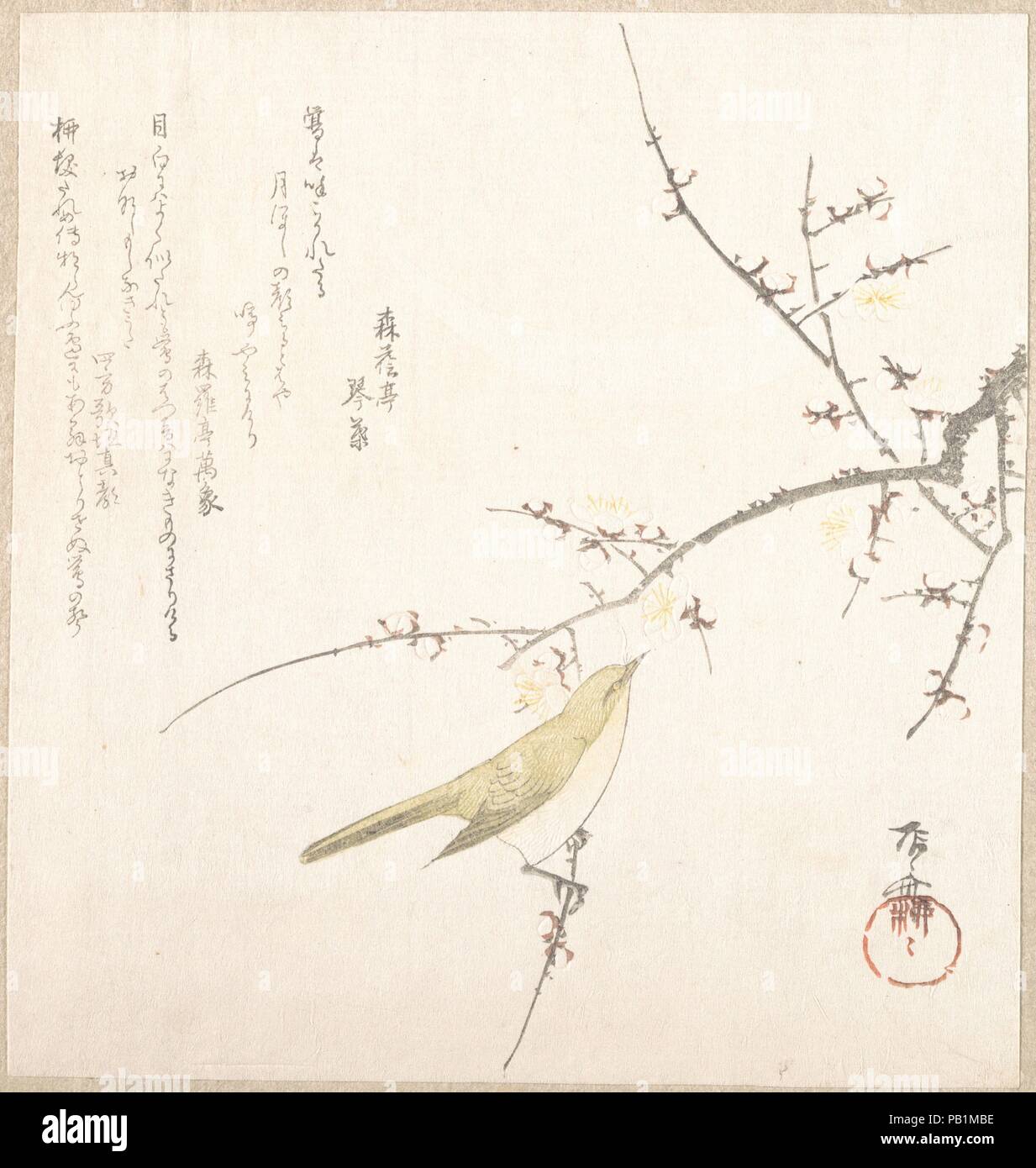Luna nuova; Nightingale su un ramo di prugna. Artista: Ryuryukyo Shinsai (giapponese, active ca. 1799-1823). Cultura: il Giappone. Dimensioni: 7 13/16 x 7 5/16 in. (19,8 x 18,6 cm). Data: del XIX secolo. Museo: Metropolitan Museum of Art di New York, Stati Uniti d'America. Foto Stock