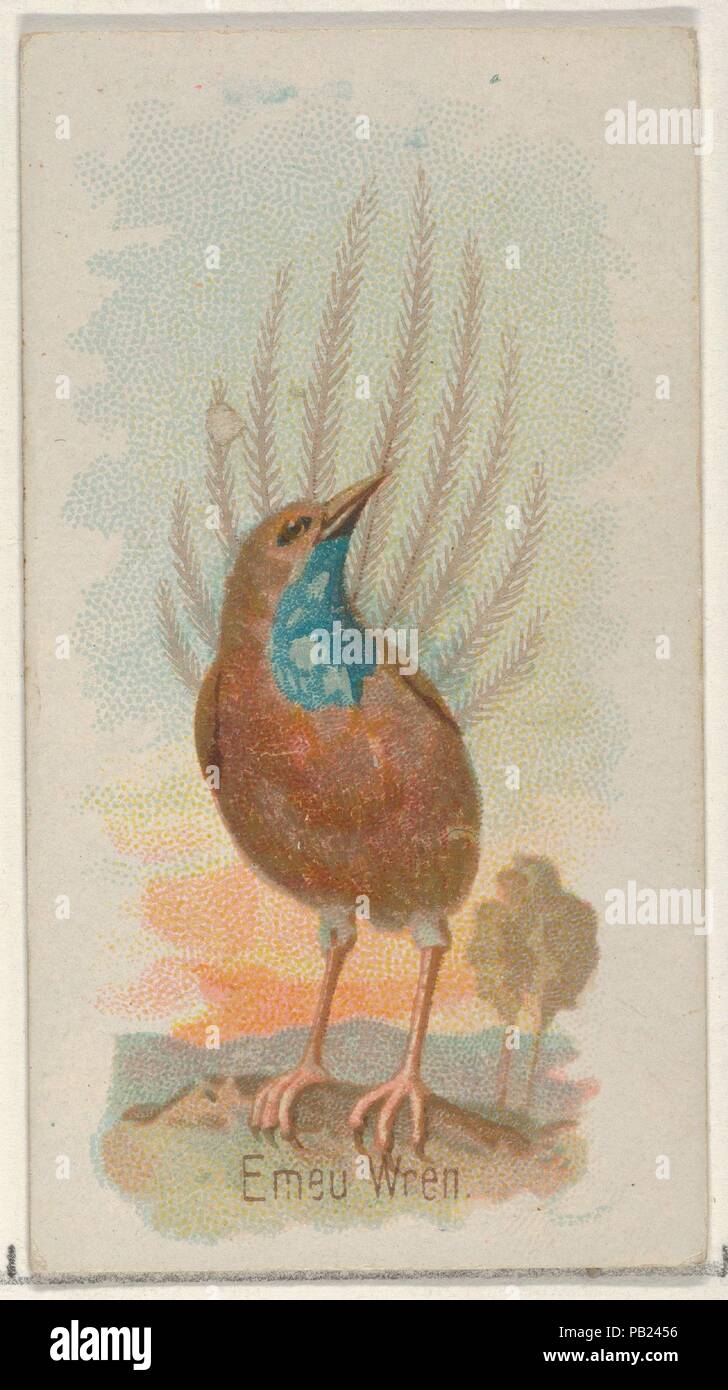 Emeu Wren, dal canto degli uccelli del mondo serie (N23) per Allen & Ginter sigarette. Dimensioni: foglio: 2 3/4 x 1 1/2 in. (7 x 3,8 cm). Litografo: George S. Harris & Sons (American, Philadelphia). Editore: Allen & Ginter (American, Richmond, Virginia). Data: 1890. Scambio di carte dal 'Song Uccelli del Mondo' serie (N23), rilasciato nel 1890 a un set di 50 schede per promuovere Allen & Ginter marca di sigarette. Museo: Metropolitan Museum of Art di New York, Stati Uniti d'America. Foto Stock