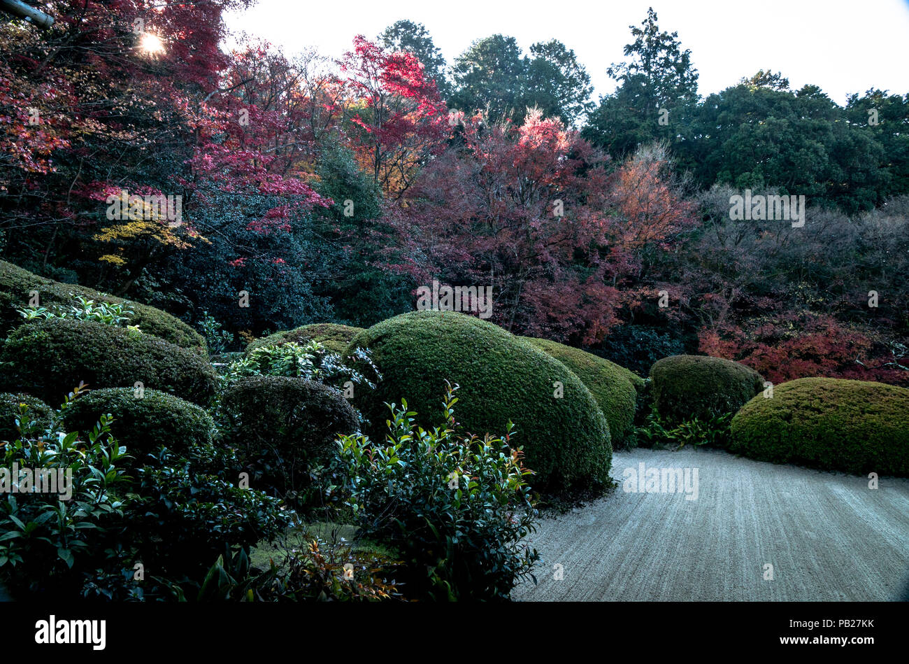 Concepito come opere d'arte, i giardini giapponesi sono meticolosamente curati. La natura è venerato ma altamente manipolata. Foto Stock