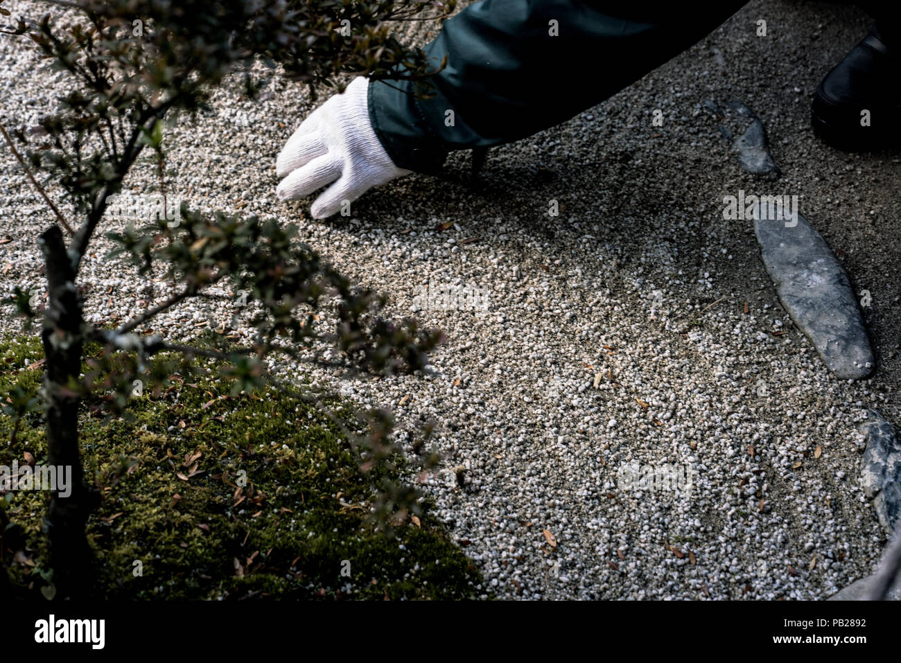 Concepito come opere d'arte, i giardini giapponesi sono meticolosamente curati. La natura è venerato ma altamente manipolata. Foto Stock