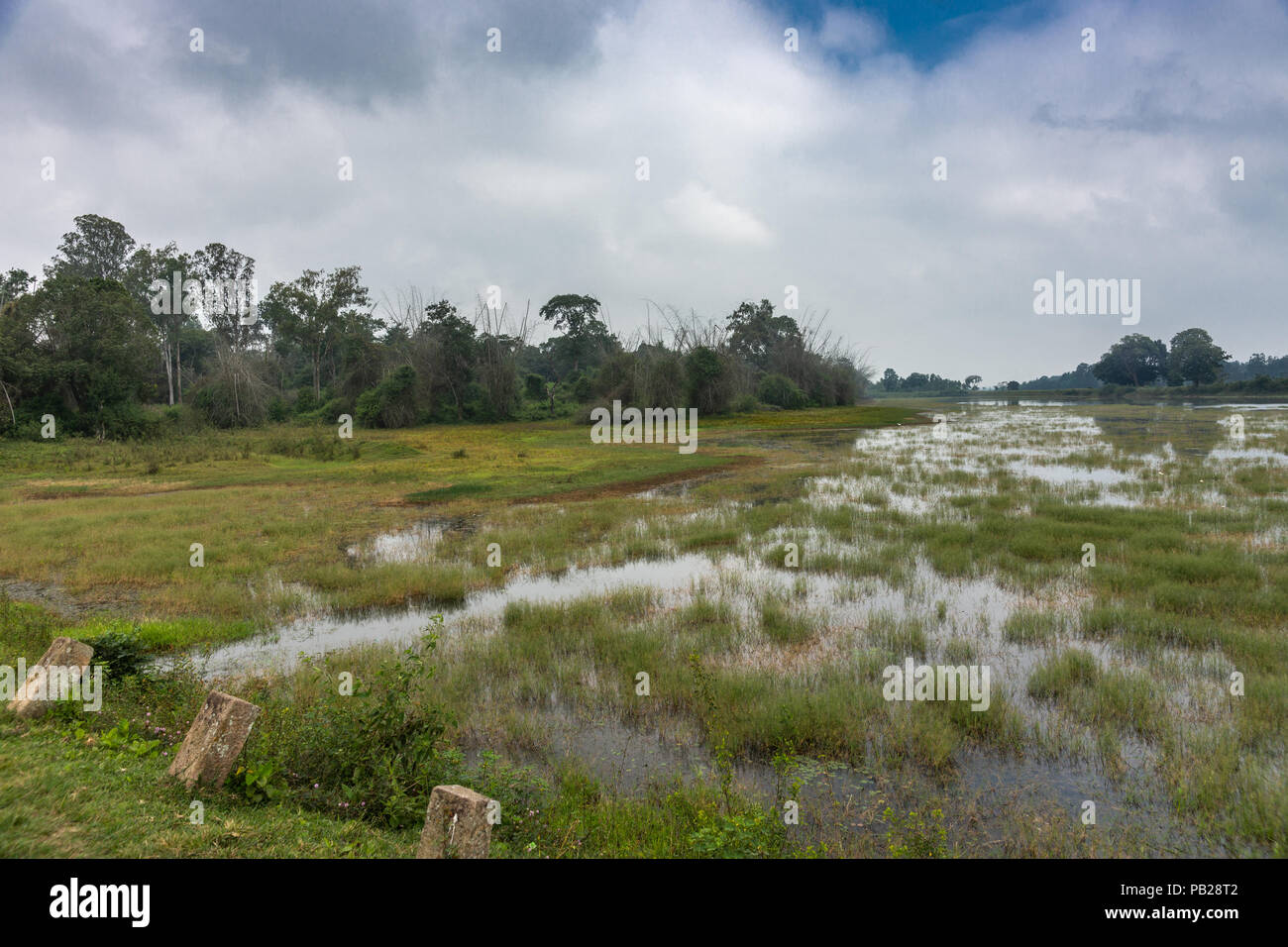 Ilapura, Karnataka, India - 1 Novembre 2013: ampio riprese di palude terreni sotto il cielo blu con nebbia e nuvole bianche. Fascia verde di alberi forestali e verde g Foto Stock