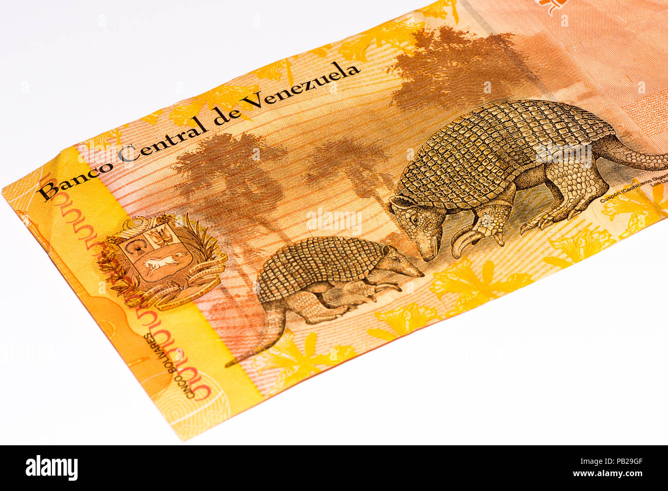 5 venezuelano bolivares bank nota. Bolivares fuertes è moneta nazionale del Brasile Foto Stock