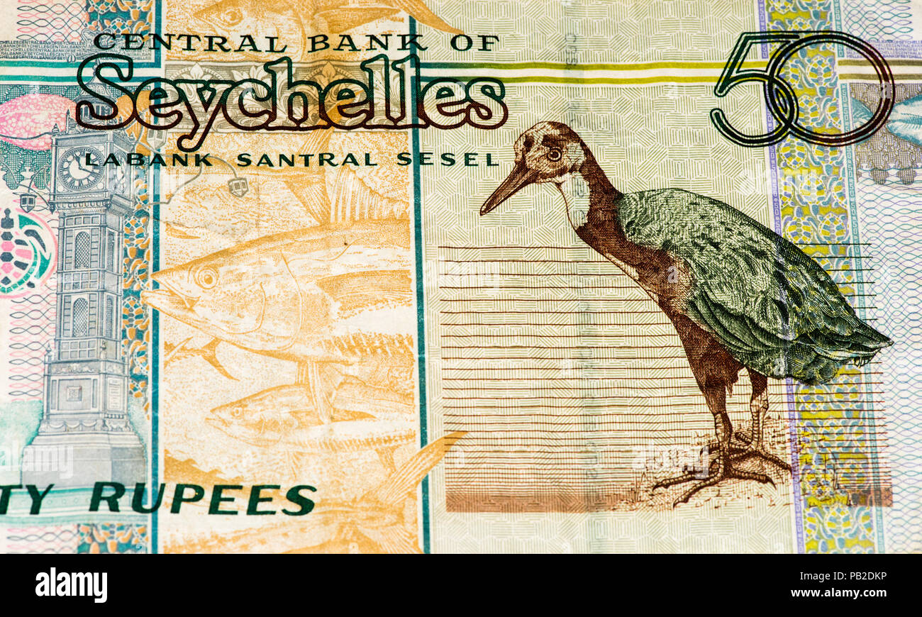 50 Rupia delle Seychelles banconota in moneta nazionale delle Seychelles Foto Stock