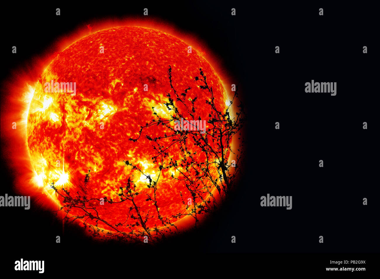 Sun fiamma sul cielo notturno indietro silhouette ramo secco albero, elementi di questa immagine fornita dalla NASA Foto Stock