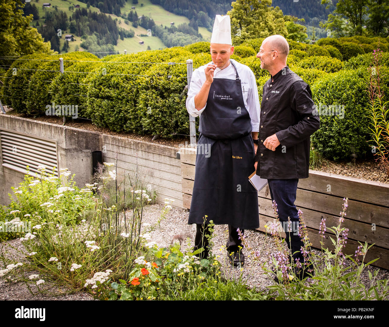 Chef Stefan Lünse con il reporter Georg Berg presso il letto di erbe dell'hotel, Lenk, Svizzera Foto Stock