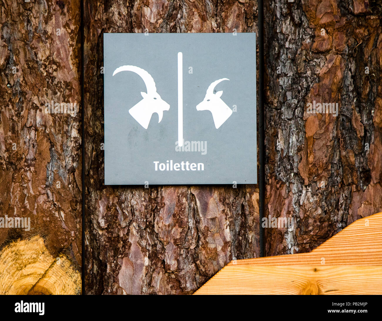 Un cartello che mostra le sagome di un maschio e di una femmina di camoscio alpino (Capra ibex) segna i bagni all'Hotel Cresta Palace a Celerina, Svizzera – l'animale compare anche sullo stemma del Gotteshausbund, una delle leghe storiche del cantone dei Grigioni. Foto Stock