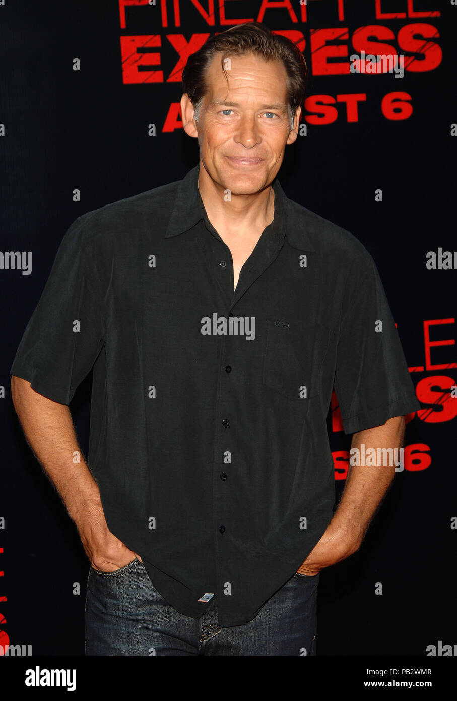 James Remar - Pineapple Express Premiere al Westwood Village Theatre di Los Angeles. tre quarti il contatto visivo RemarJames 13 Red Carpet Event, verticale, STATI UNITI D'AMERICA, industria cinematografica, celebrità, fotografia, Bestof, arte cultura e intrattenimento, Topix celebrità moda / Verticale, meglio di, evento nella vita di Hollywood - California, moquette rossa e dietro le quinte, USA, industria cinematografica, celebrità, movie celebrità, personaggi televisivi, musica celebrità, fotografia, Bestof, arte cultura e intrattenimento, Topix, verticale, una persona, da anni , 2006 al 2009, inchiesta tsuni@Gamma-USA.com - Compagnia Foto Stock