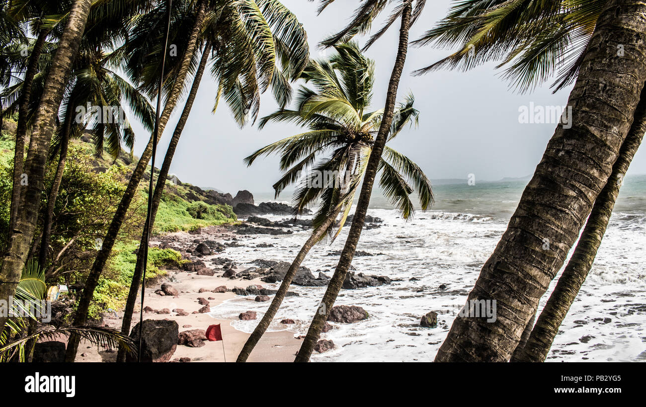 New Scenic 5 posti spiaggia naturale di Goa in India, nella stagione dei monsoni con alta marea le onde del mare, ben coperto di vegetazione con inclinato di palme da cocco. Foto Stock