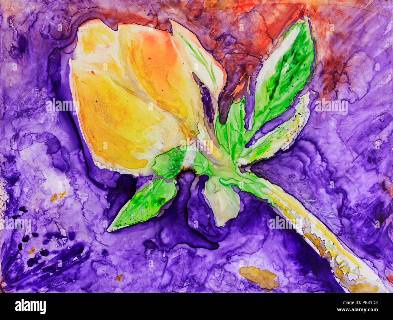 La pittura ad acquerello di un colorato luminosamente tulip bud Foto Stock La pittura ad acquerello di un colorato luminosamente tulip bud Foto Stock