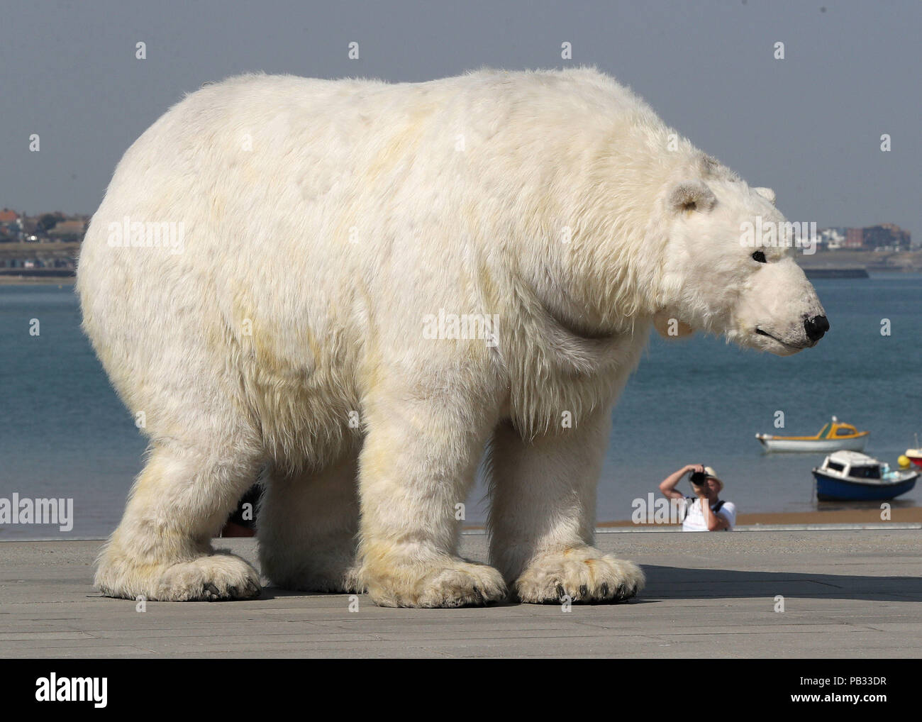 Una vita dimensioni orso polare fantoccio chiamato Paula al momento del lancio il Turner contemporanea esposizione estiva Animali e noi, in Margate, Kent. Foto Stock