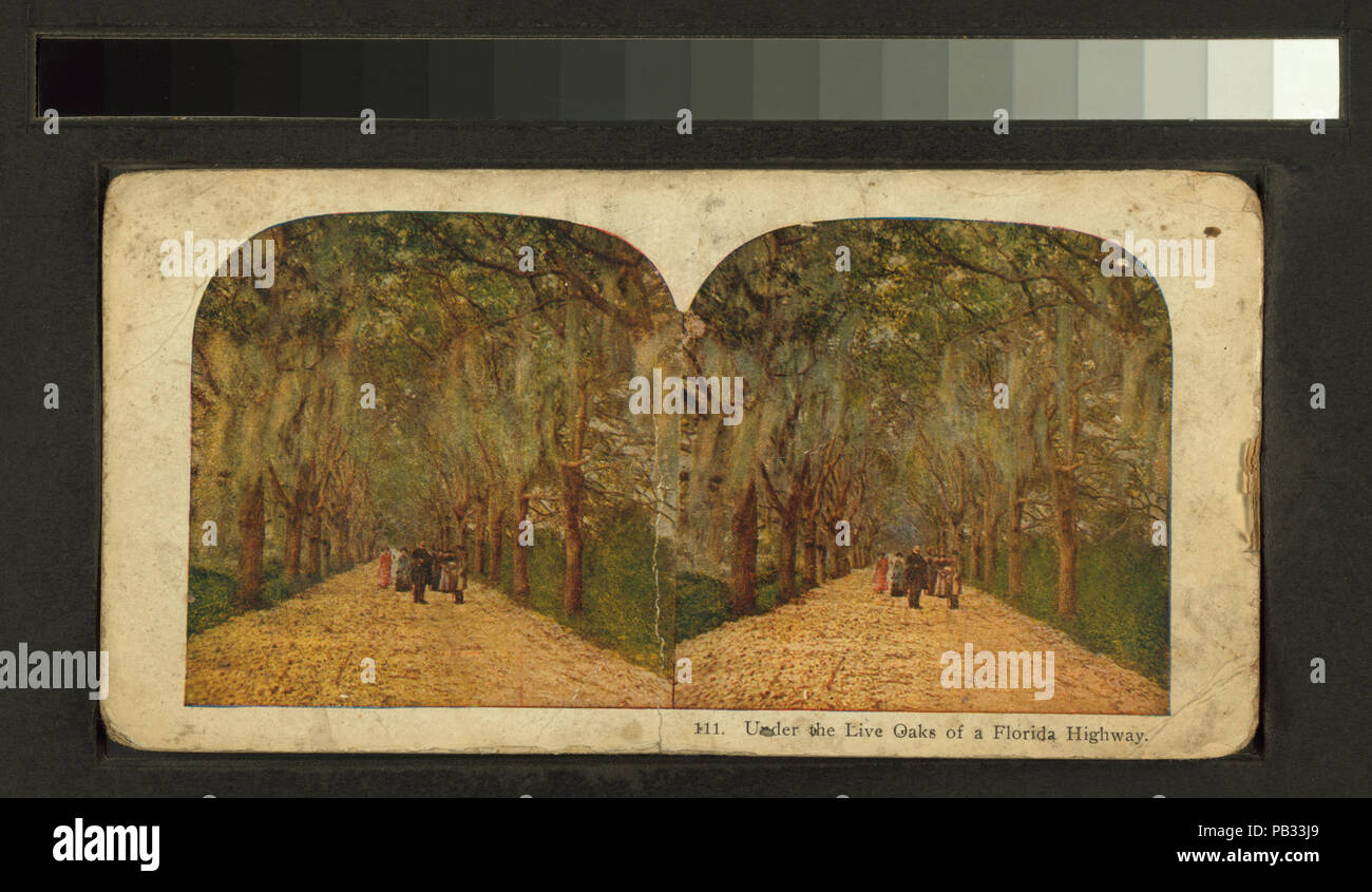 1788 sotto le querce dal vivo di un'autostrada della Florida (NYPL B11707405-G90F129 044F) Foto Stock