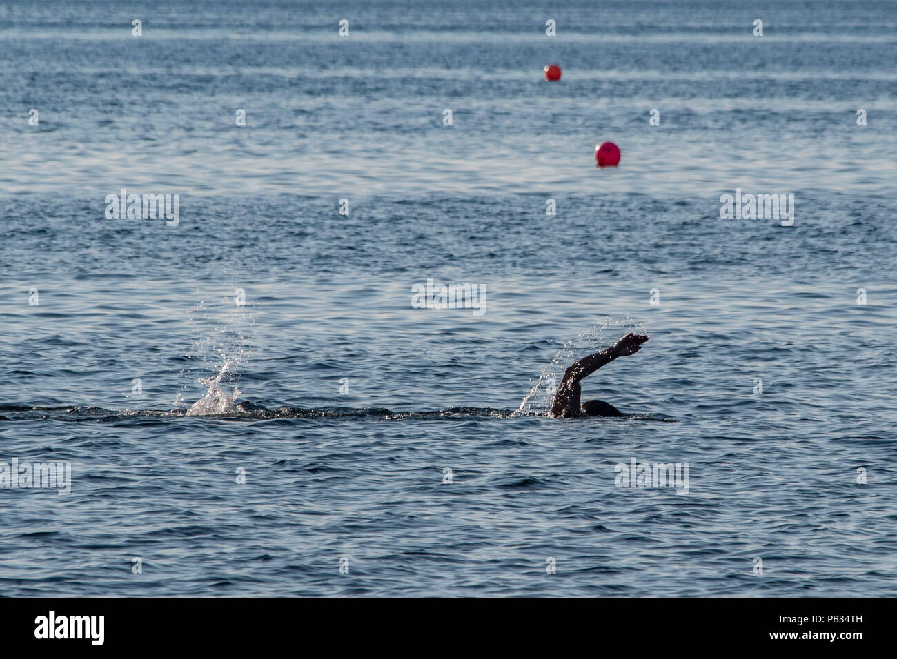 Mousehole, Cornwall, Regno Unito. Il 26 luglio 2018. Regno Unito Meteo. La mattina presto del nuotatore fuori in mare al largo della costa di Mousehole. Credito: Simon Maycock/Alamy Live News Foto Stock