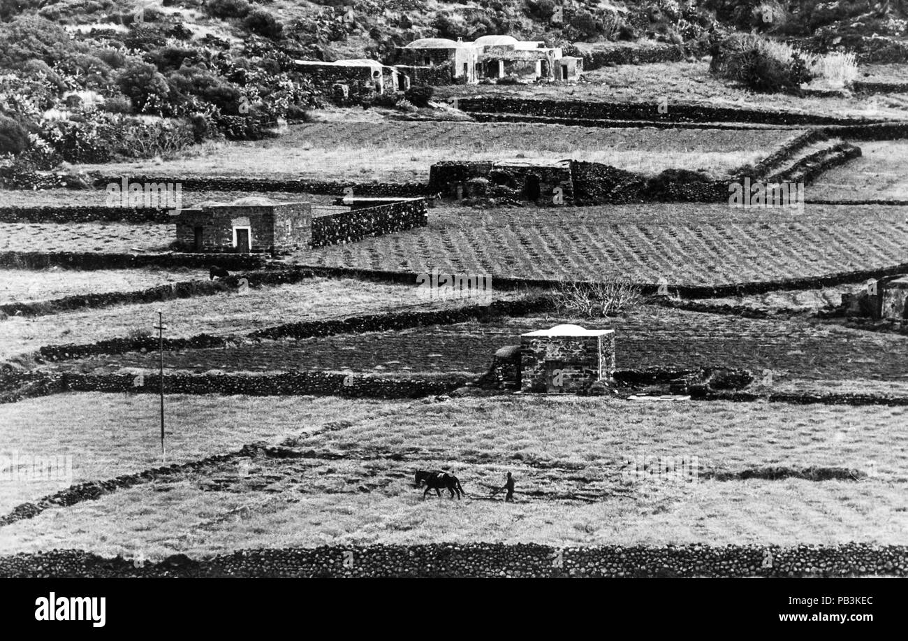 I campi di Pantelleria, 60s Foto Stock