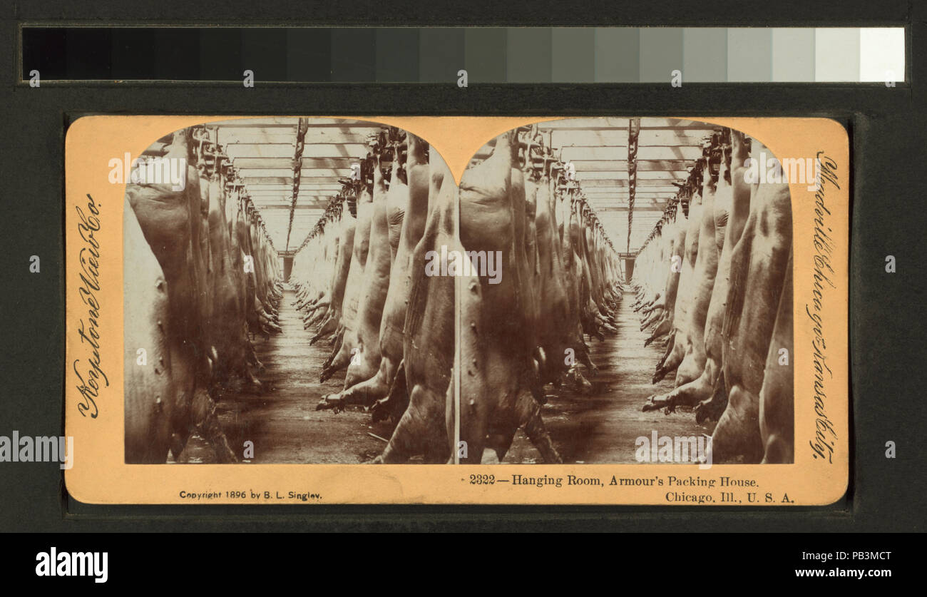 741 camera pensili, armature della casa di imballaggio, Chicago, malato (NYPL B11707454-G90F177 016F) Foto Stock