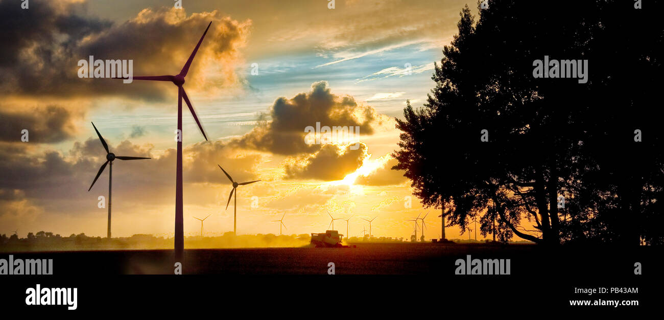 Turbine a vento, sole serale con trincia semovente Foto Stock
