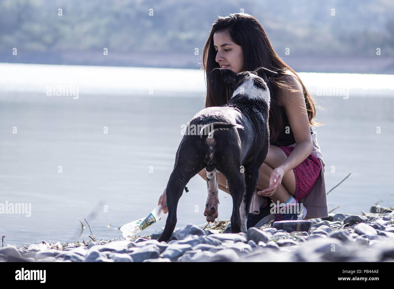 Ragazza che gioca con il suo cane Foto Stock