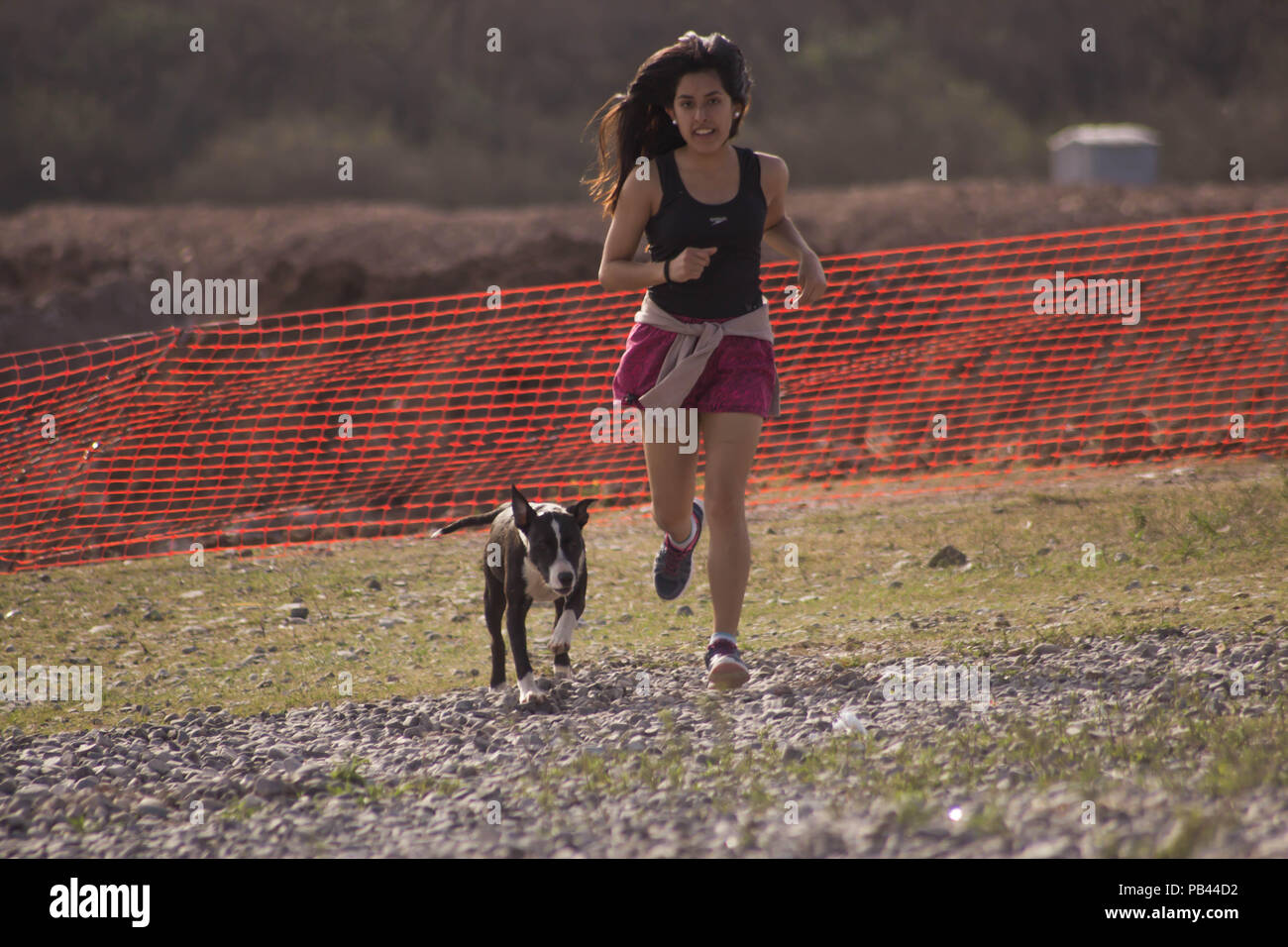 Ragazza che gioca con il suo cane Foto Stock