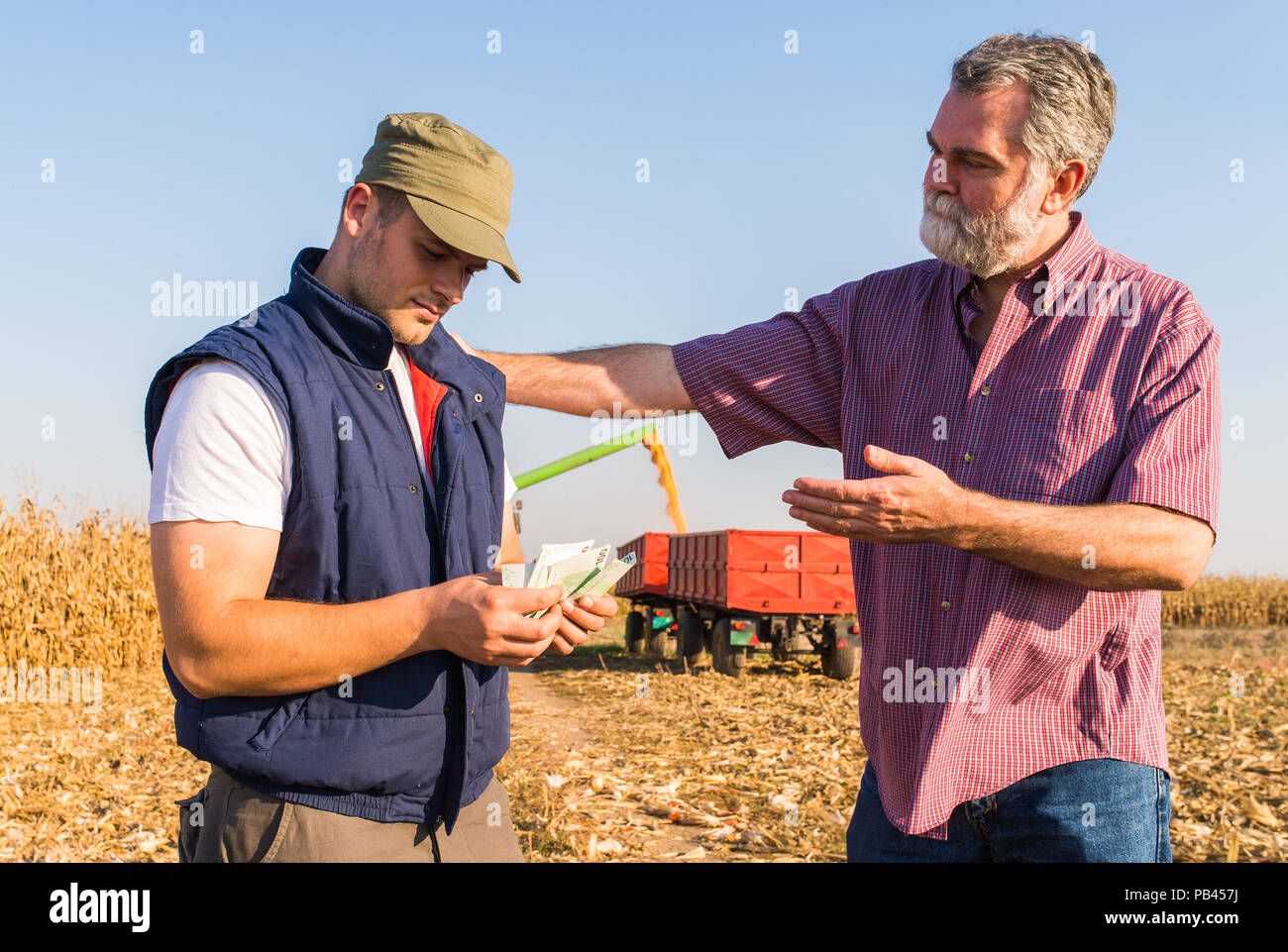 Felice agricoltore dopo il raccolto di mais Foto Stock