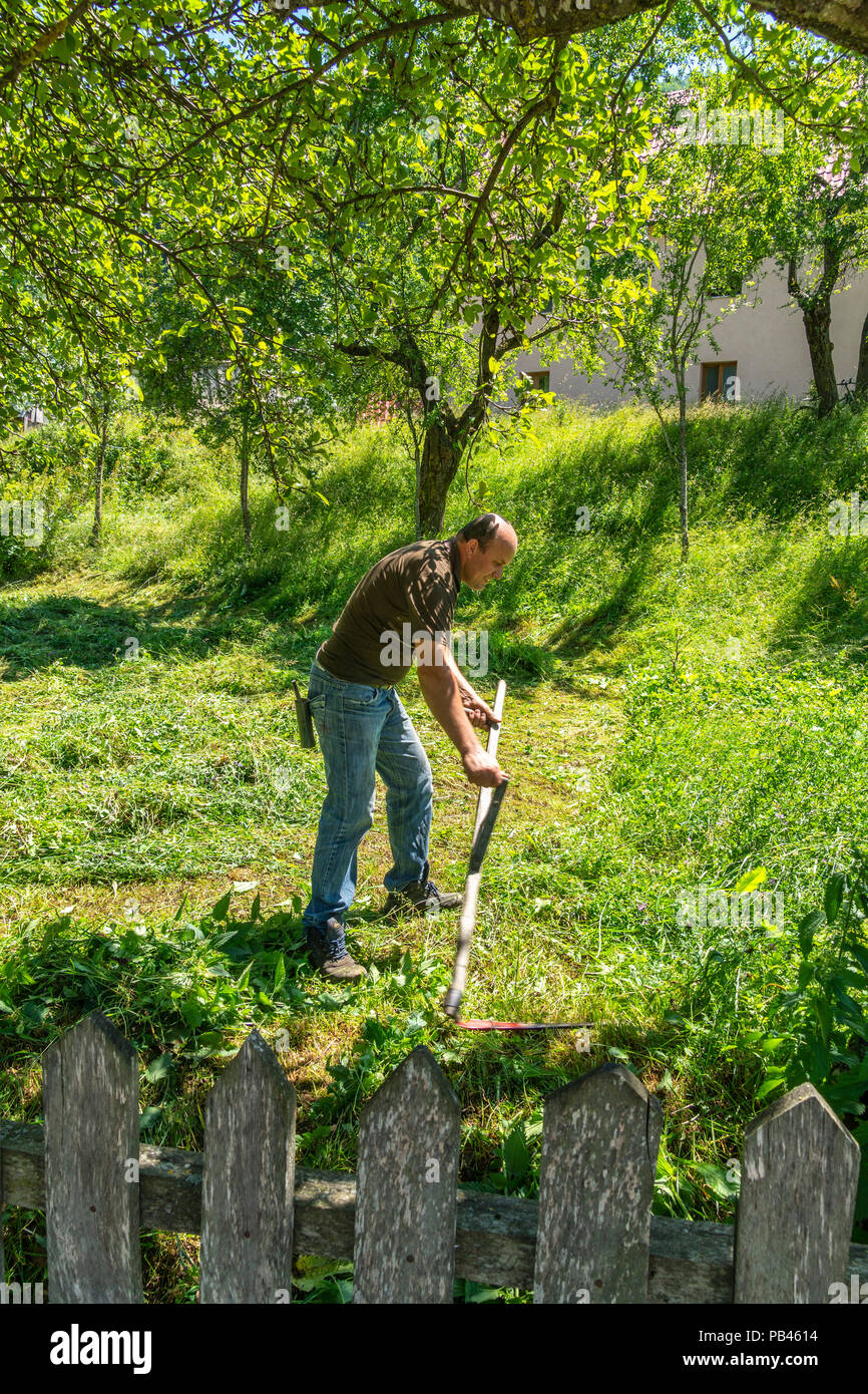 Agricoltore foraggi di taglio con una falce in Vermosh, la più settentrionale villaggio in Albania, appena sotto il confine con Montinegro. L'Albania. Foto Stock