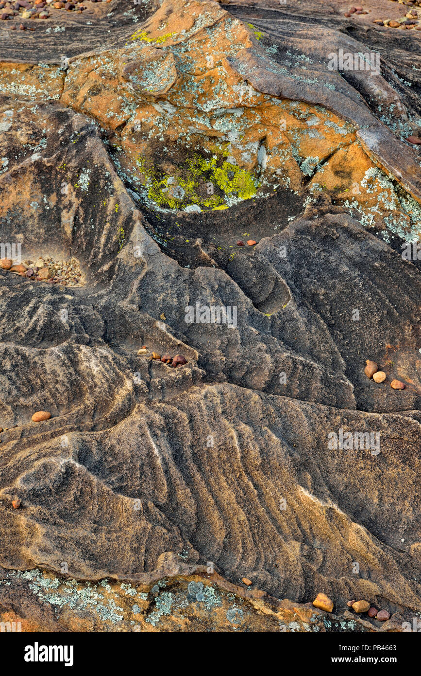 Weathered rocce di arenaria, Petit Jean State Park, Arkansas, STATI UNITI D'AMERICA Foto Stock