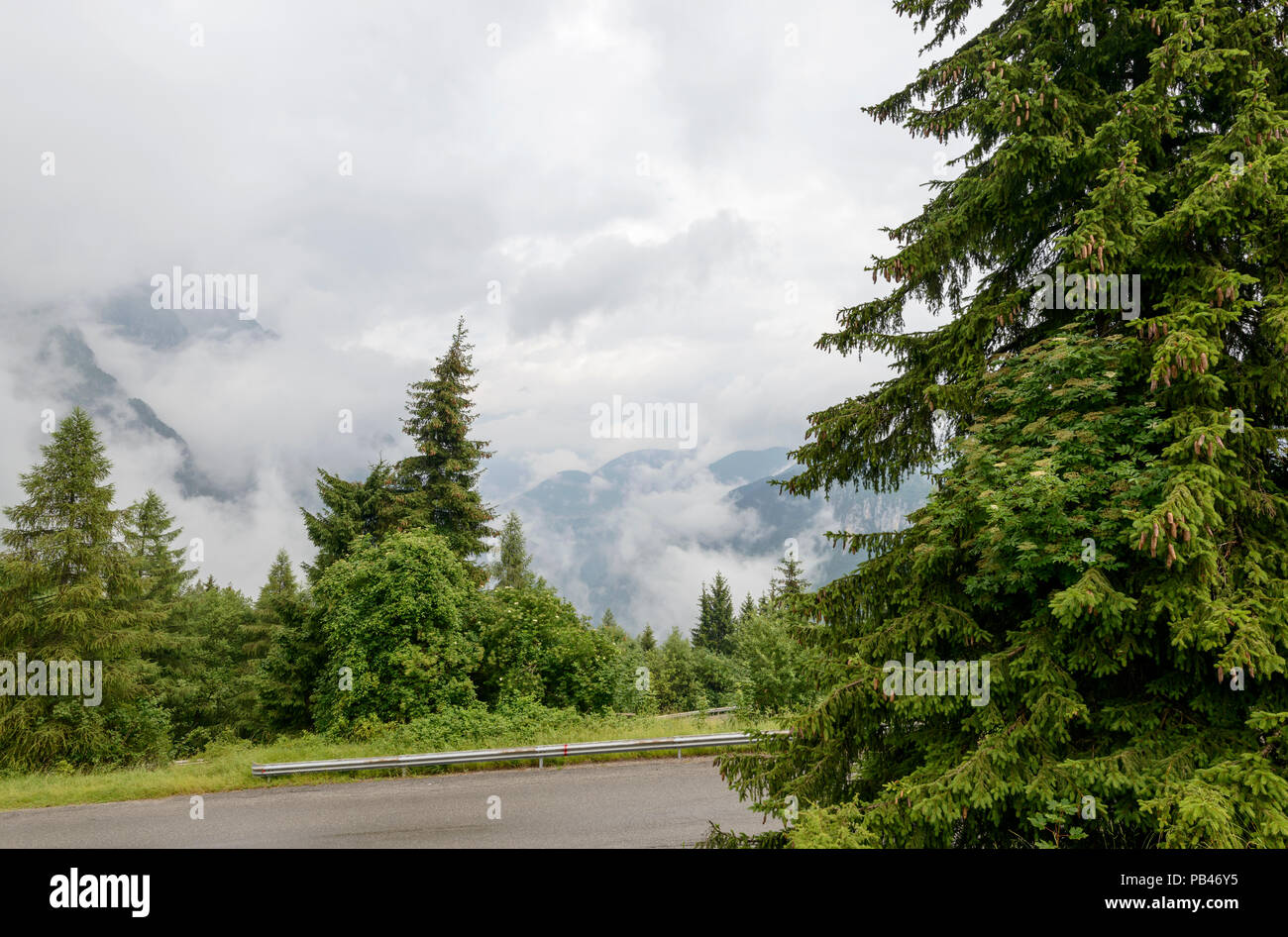 Il paesaggio della Valle di Scalve con boschi di abeti tra le dense nubi, girato a nuvoloso luce estiva da Presolana pass road, Bergamo, Orobie, Lombardia, Italia Foto Stock
