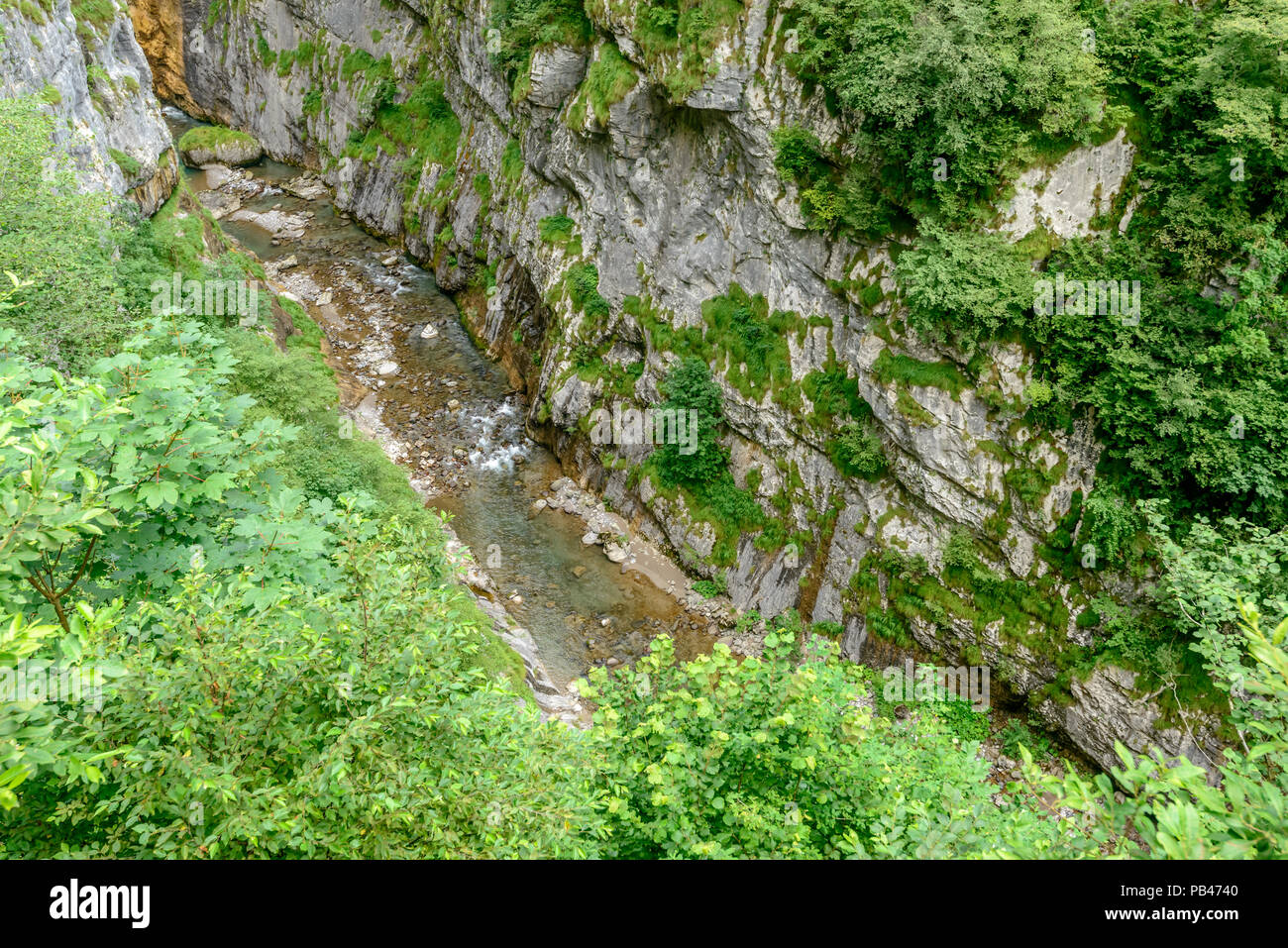 Limpide acque del torrente Dezzo sotto ripide pareti rocciose e la lussureggiante vegetazione di forra di montagna, girato in condizioni di intensa luce estiva in Via Mala, Valle di Scalve canyon, Col Foto Stock