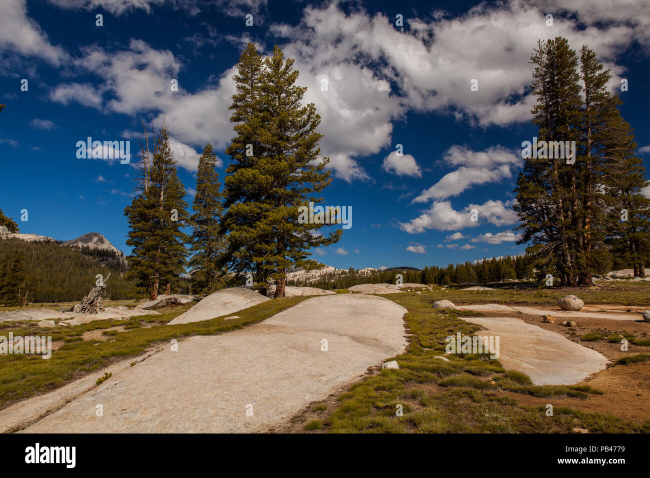 Tioga Pass Road im Yosemite NP Foto Stock