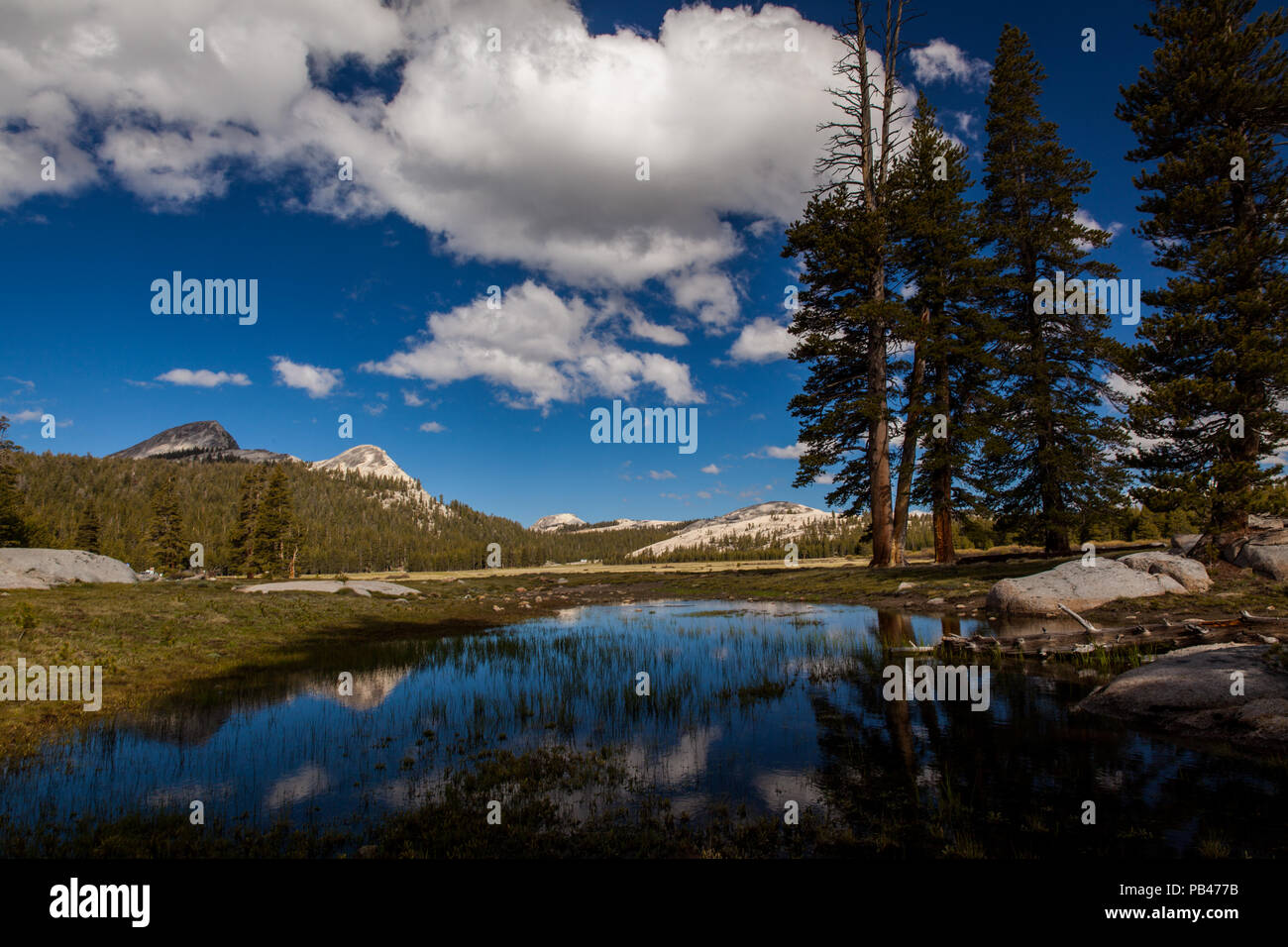 Tioga Pass Road im Yosemite NP Foto Stock