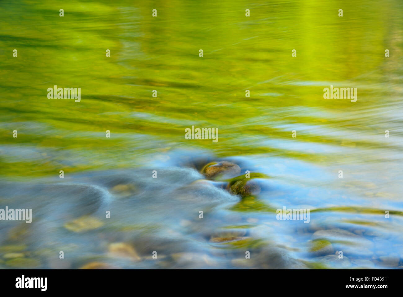 Il fogliame di primavera si riflette nelle rapide del fiume Buffalo a Pruitt atterraggio, Buffalo National River, Arkansas, STATI UNITI D'AMERICA Foto Stock