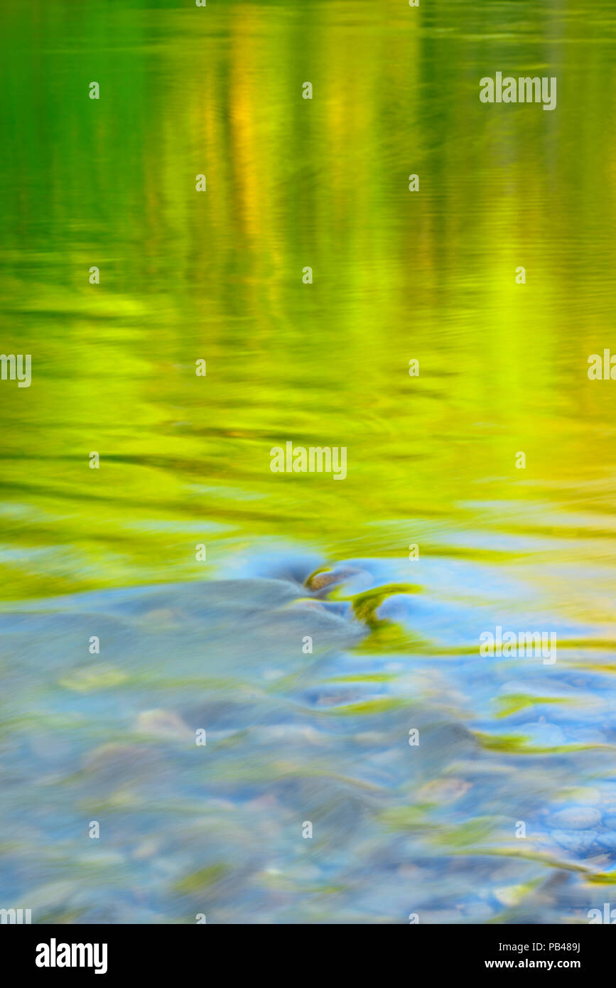 Il fogliame di primavera si riflette nelle rapide del fiume Buffalo a Pruitt atterraggio, Buffalo National River, Arkansas, STATI UNITI D'AMERICA Foto Stock