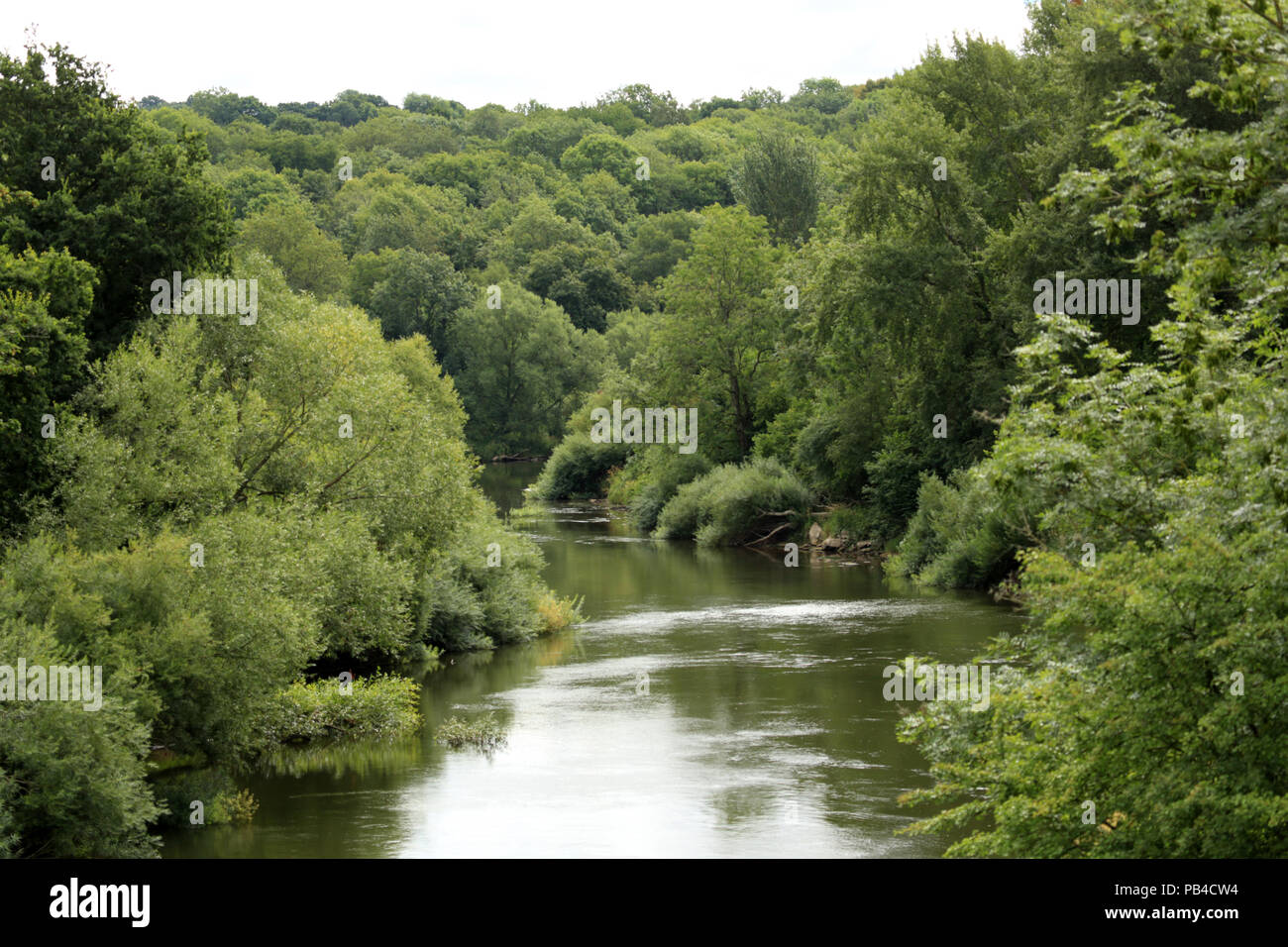 Vista del fiume Severn a Alveley, Shropshire, Regno Unito. Foto Stock
