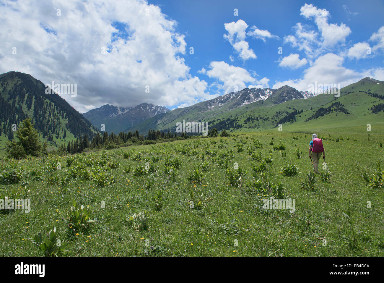 Trekking alla superba Keskenkija alpino Trek, Jyrgalan, Kirghizistan Foto Stock