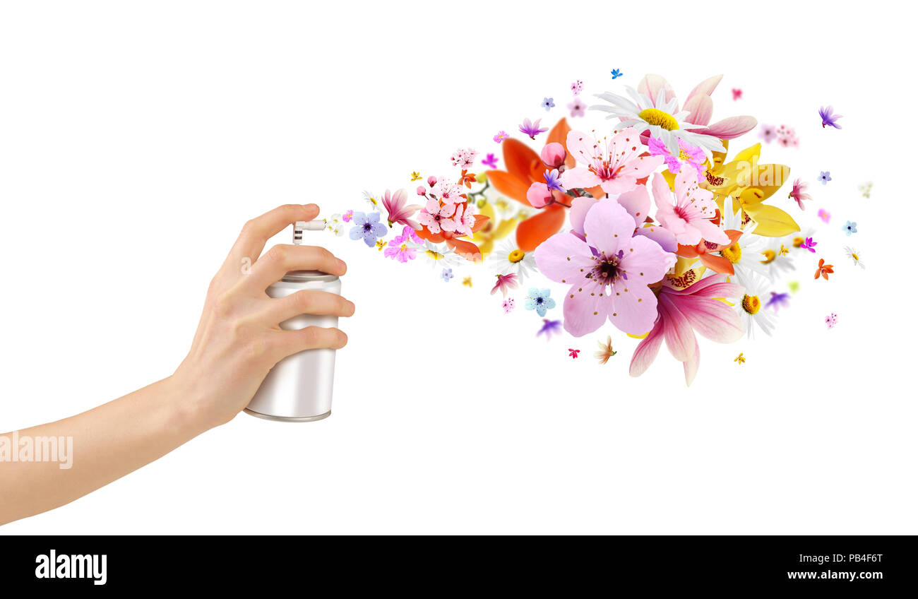 Fiore-stanza profumata spray e fiori da interno Foto Stock