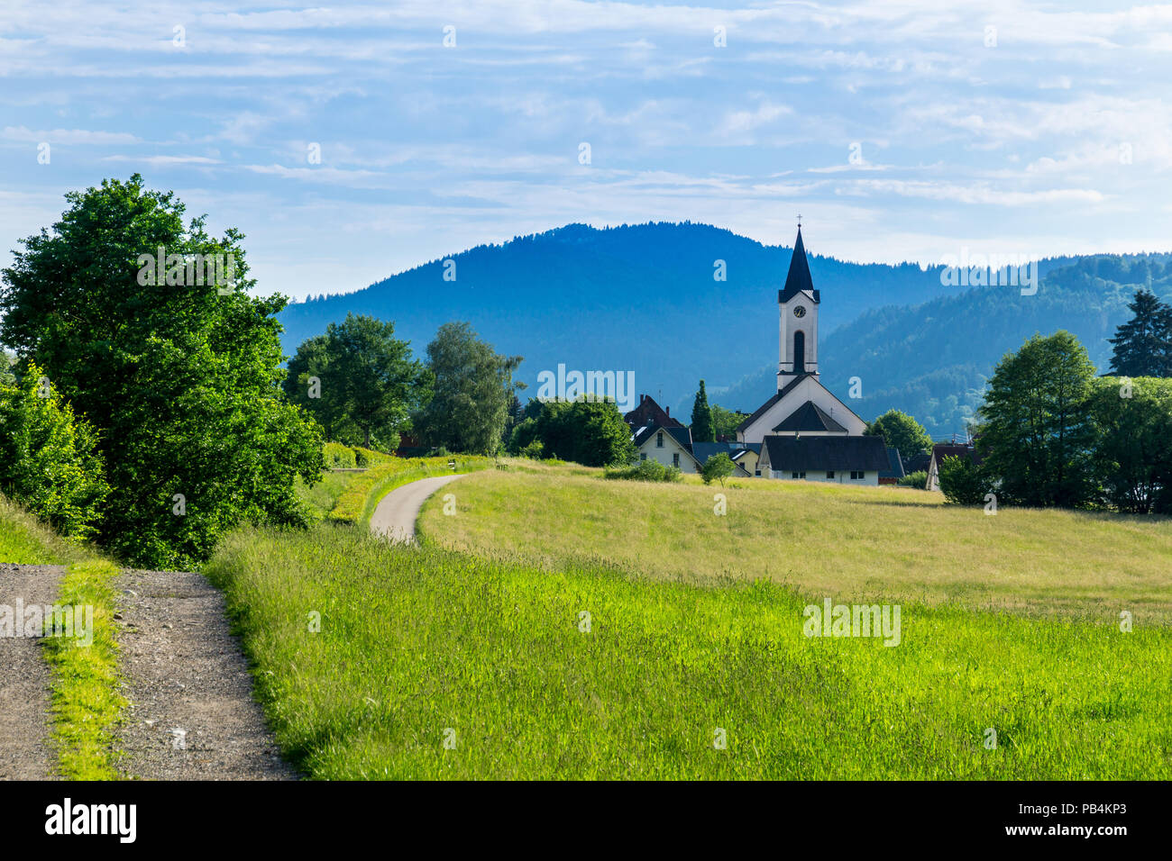Germania, foresta nera Oberwinden villaggio nei pressi di Friburgo in estate Foto Stock