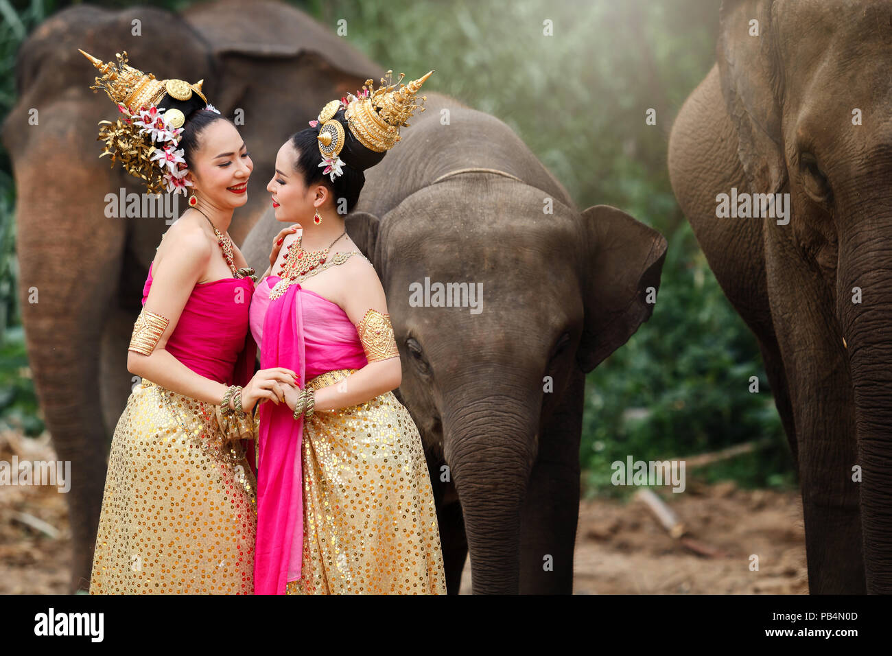 Pretty thai ragazze nei tradizionali costumi tailandese con gli elefanti Foto Stock