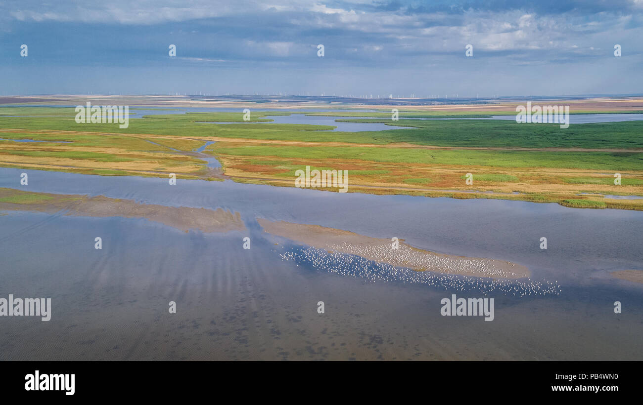 Vista aerea del Delta del Danubio, Romania, Europa Foto Stock