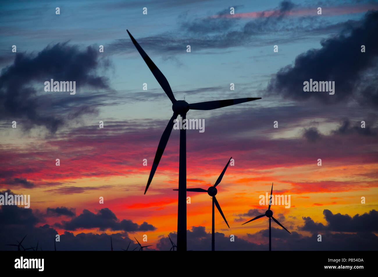 Le turbine eoliche come sagome nel tramonto Foto Stock