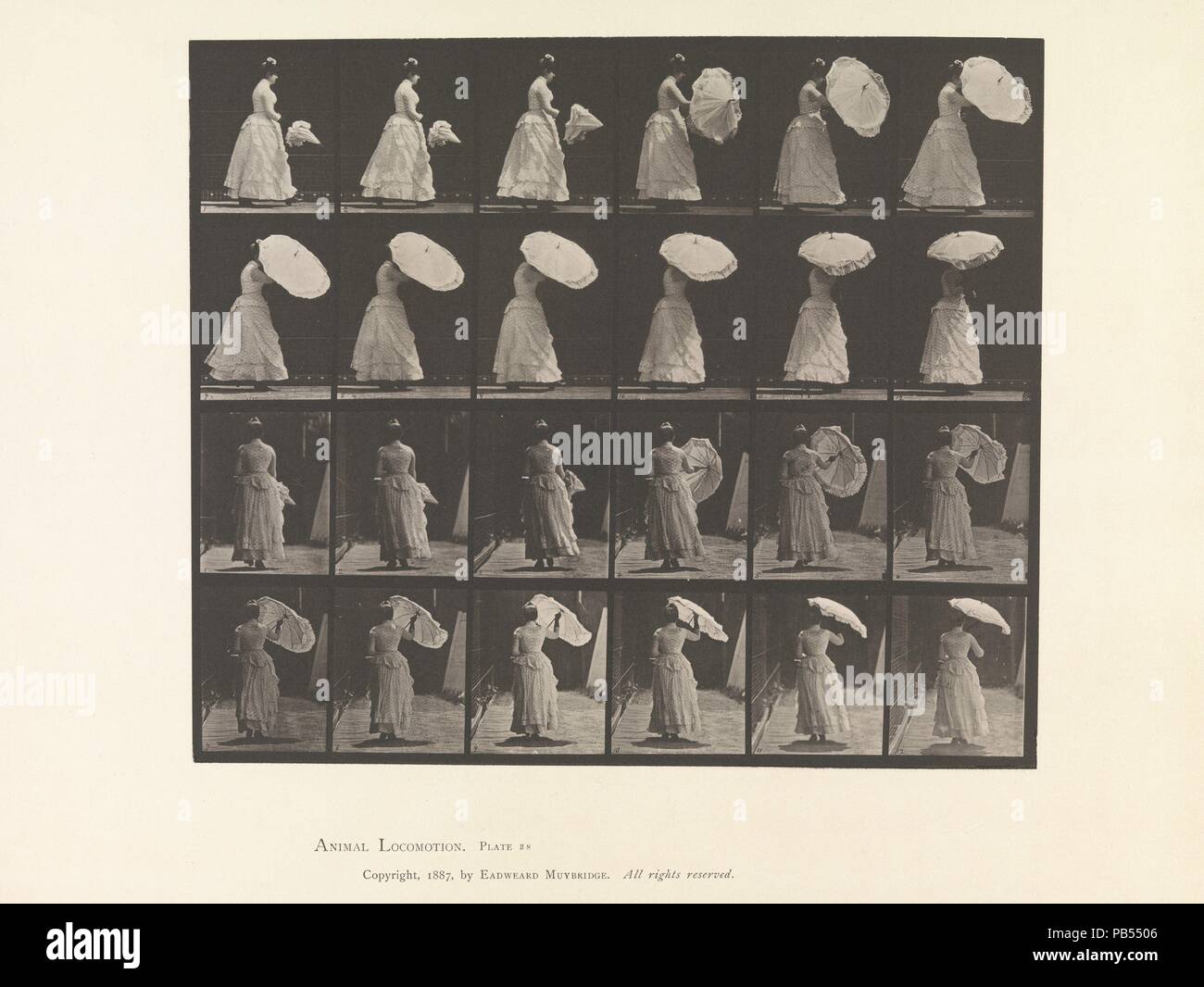 [Donna apertura Parasol]. Artista: Eadweard Muybridge (American, nato la Gran Bretagna, 1830-1904). Stampante: la società Photo-Gravure. Data: 1883-86, stampati 1887. Museo: Metropolitan Museum of Art di New York, Stati Uniti d'America. Foto Stock