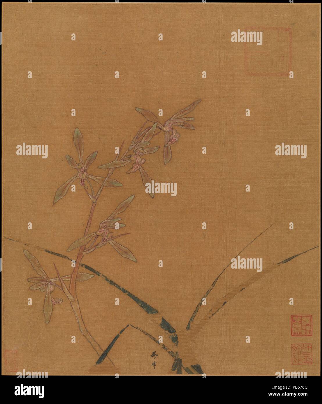 Orchidee. Artista: Ma Lin (Cinese, ca. 1180 - dopo il 1256). Cultura: la Cina. Dimensioni: Immagine: 10 7/16 x 8 7/8 in. (26,5 x 22,5 cm). Data: secondo quarto del XIII secolo. Questo squisito rappresentazione di un'orchidea, firmato da Ma Lin, figlio di Ma Yuan (Act. ca. 1190-1225), esemplifica lo stile di realismo formale favorita dall'aristocratica Southern Song corte. Il semplice equilibrio asimmetrico di fiori e foglie, meticolosamente reso in sottili sfumature di lavanda, bianco e verde di malachite, rivela un aestheticizing consapevolmente sensibilità. Tali quadri di fiori ricordano fine Southern Song lyric Foto Stock