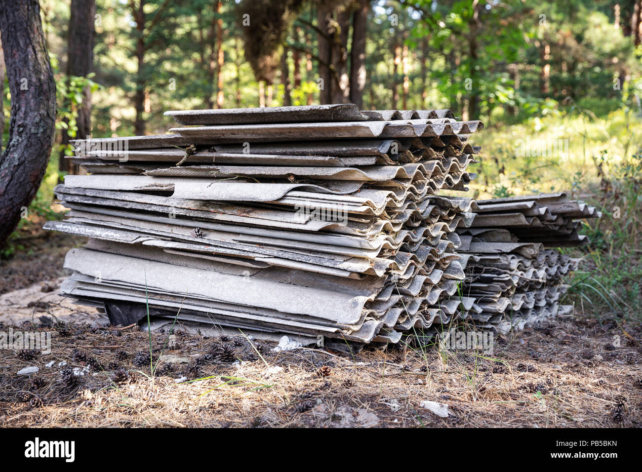 Inquinamento dell ambiente - pila di vecchi amianto del tetto di ardesia di fogli in foresta Foto Stock