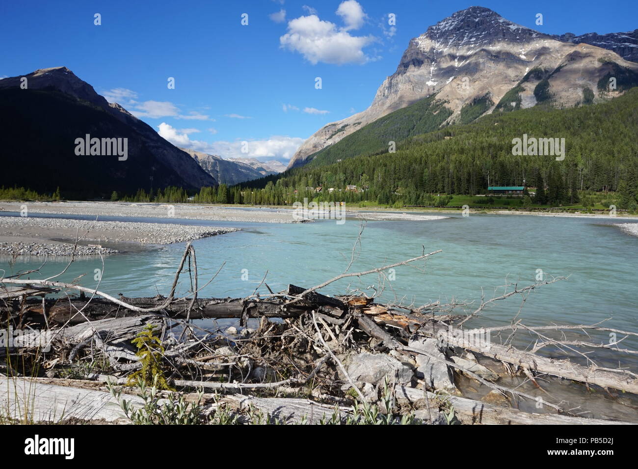 Il Fiume Bow, Montagne Rocciose Canadesi Foto Stock