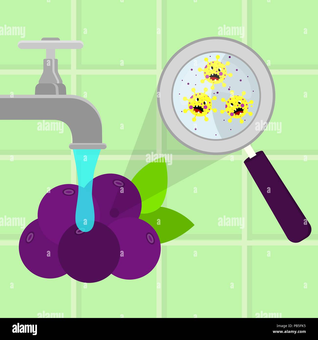 Acai frutti contaminati con il cartoon microbi essendo pulito e lavato in una cucina. Microrganismi, virus e batteri nel vegetale ingrandita di un Illustrazione Vettoriale