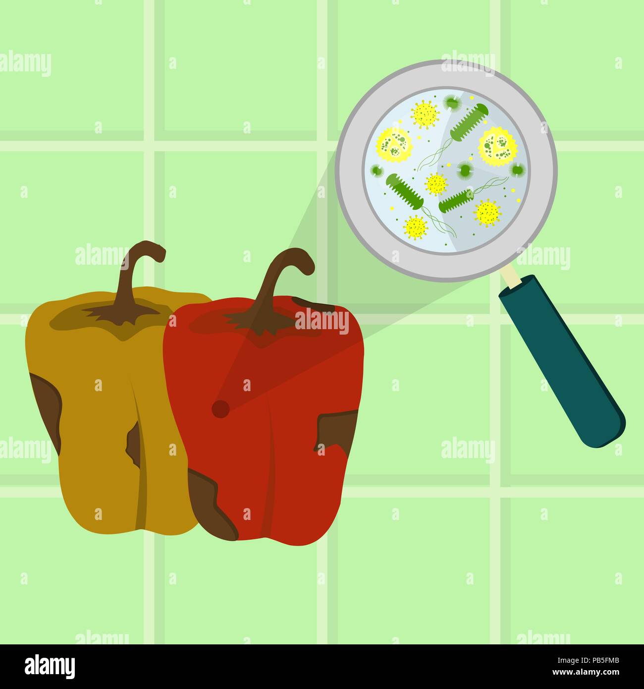 Contaminato il peperone. Microrganismi, virus e batteri nel marcio e rovinato il peperone ingrandita di una lente di ingrandimento. Piastrelle in backgr Illustrazione Vettoriale